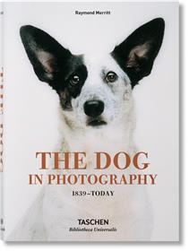 The Dog in Photography 1839-Today (GB/ALL/FR)