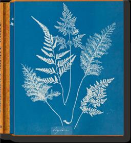 Anna Atkins. Cyanotypes (Famous First Edition) (GB/ALL/FR)