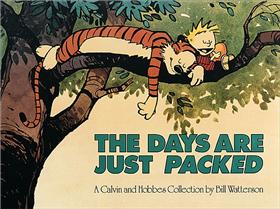 CALVIN & HOBBES The days are just packed